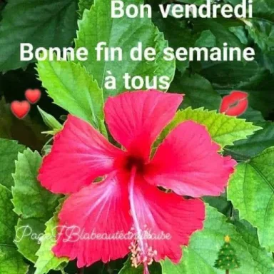 Mamamia