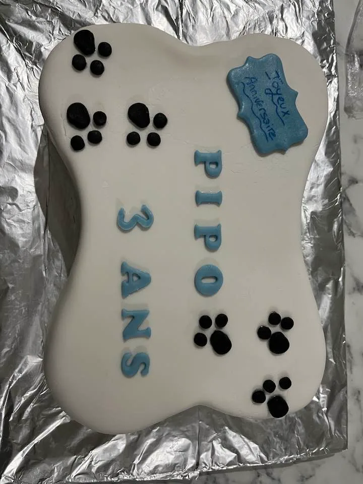 GATEAU EN FORME D'OS