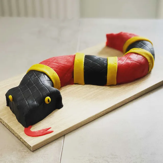 Snake cake