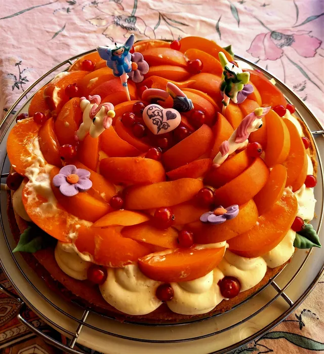 tarte abricots