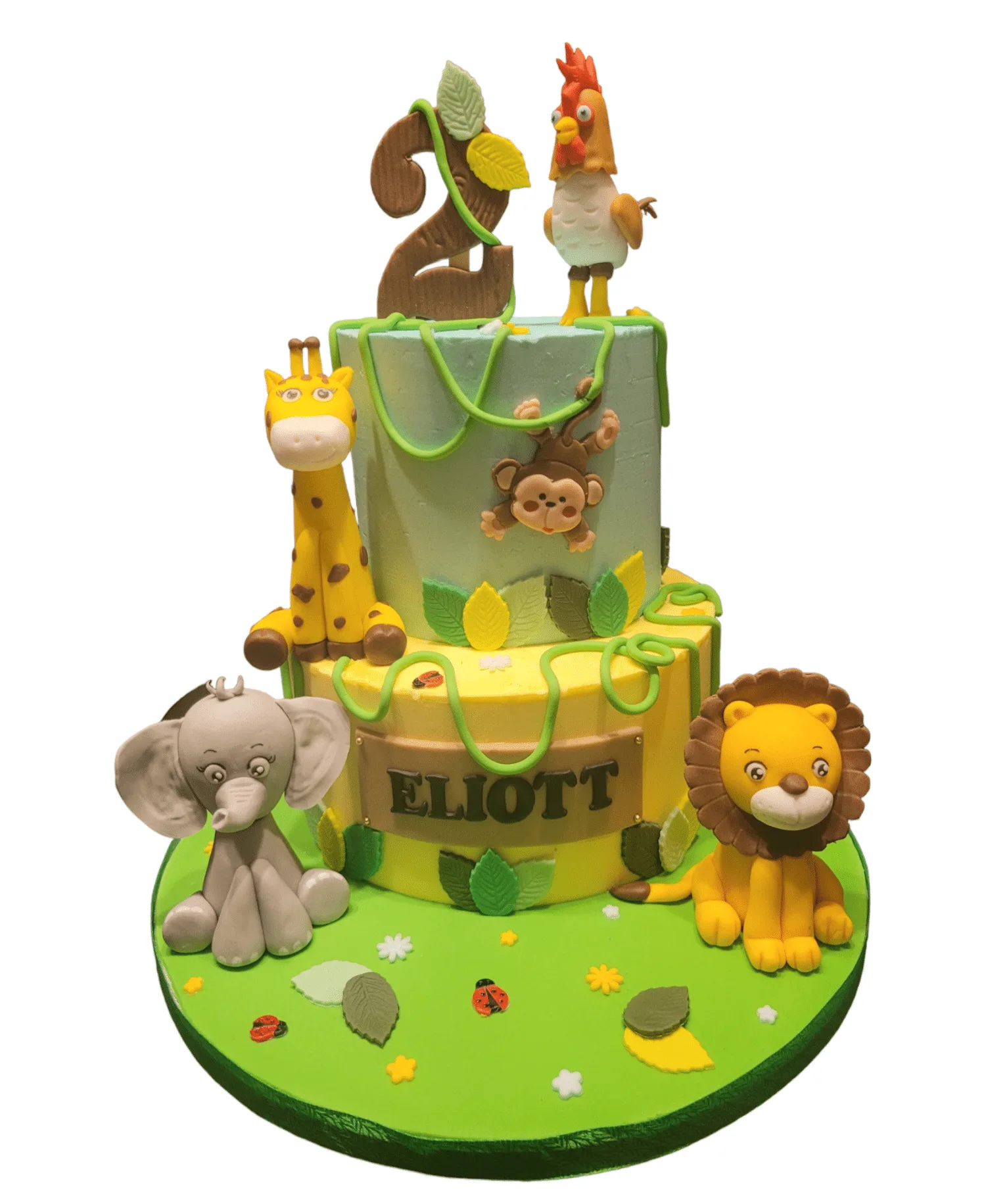 Gateau jungle