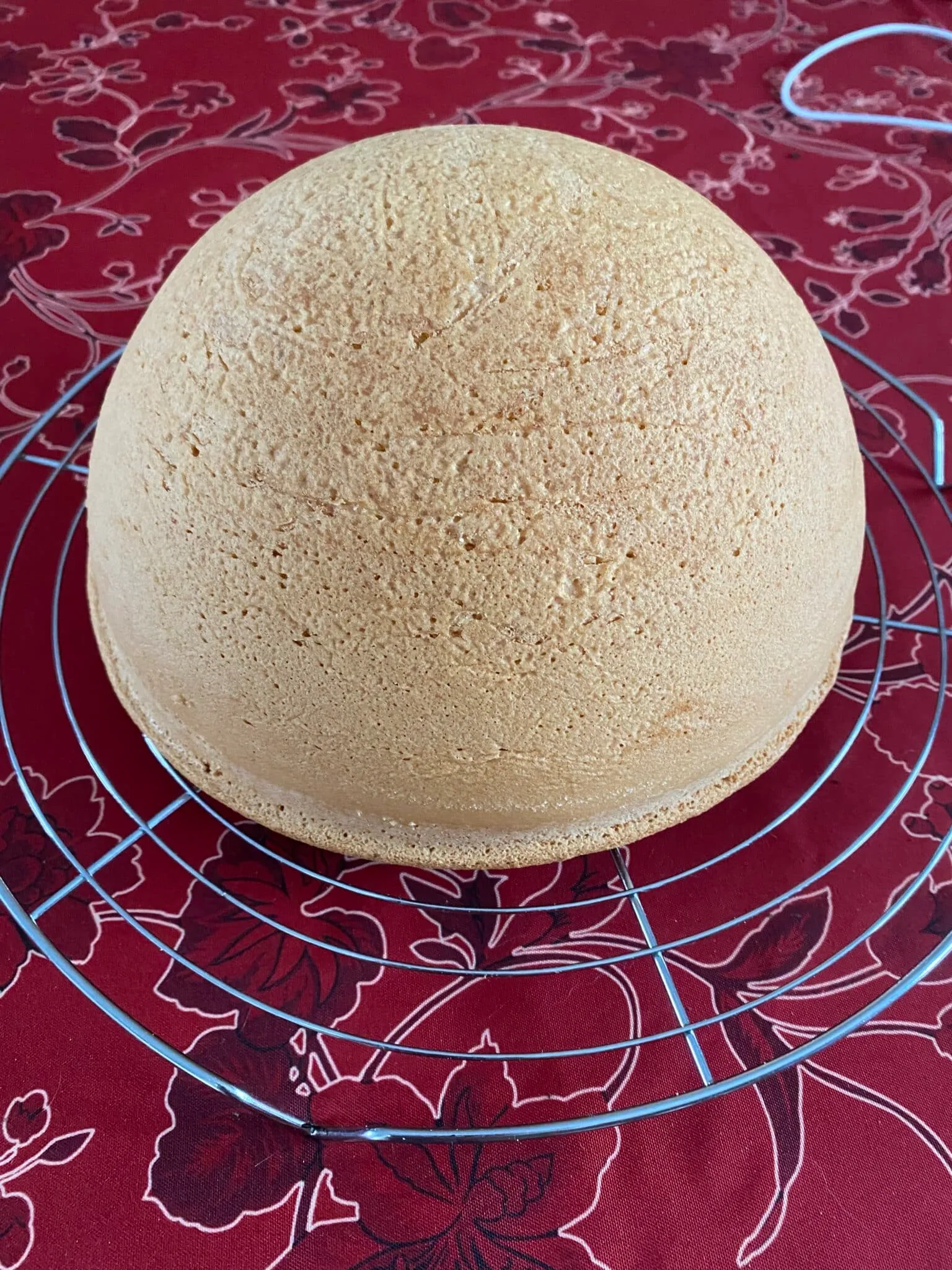 Génoise