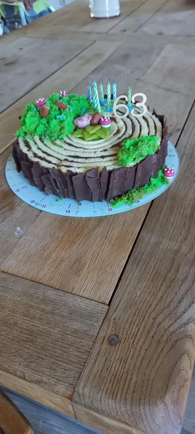 Roll cake chocolat déco arbre