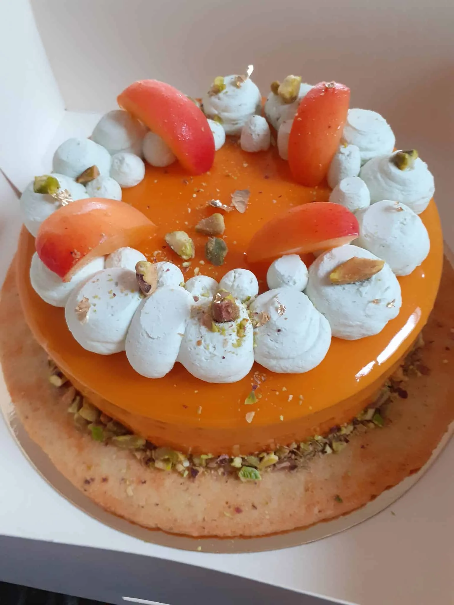 Entremet Abricot pistache