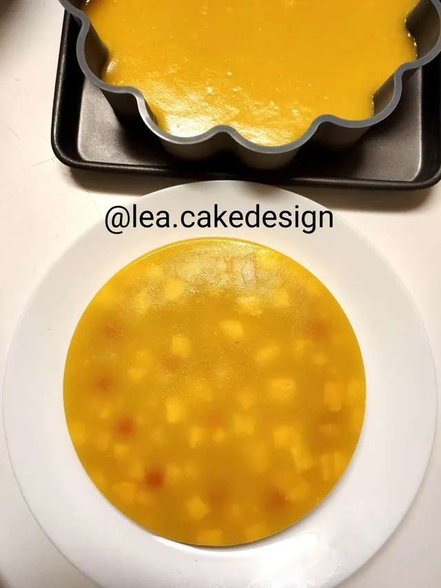 Entremet vegan mangue et physalis