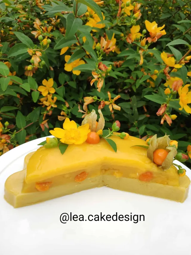 Entremet vegan mangue et physalis