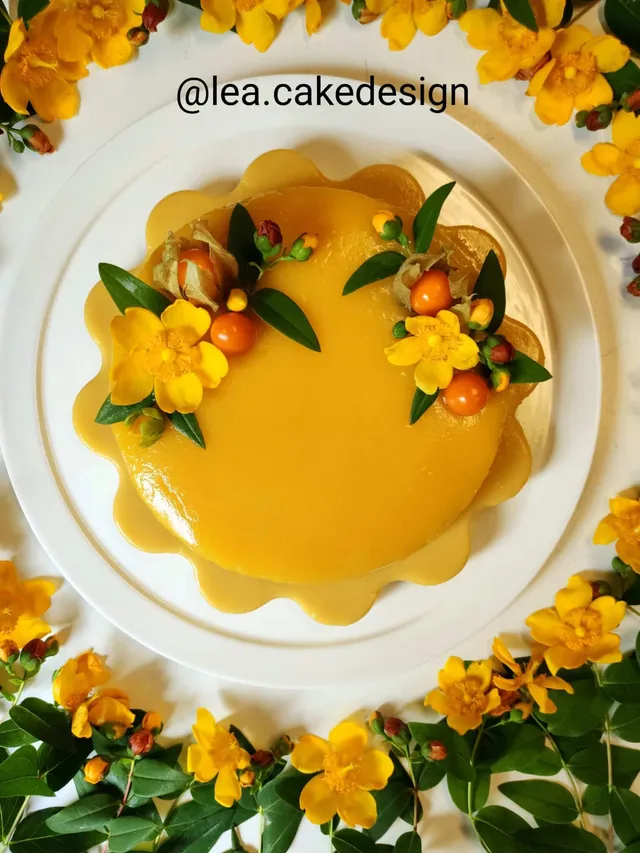 Entremet vegan mangue et physalis