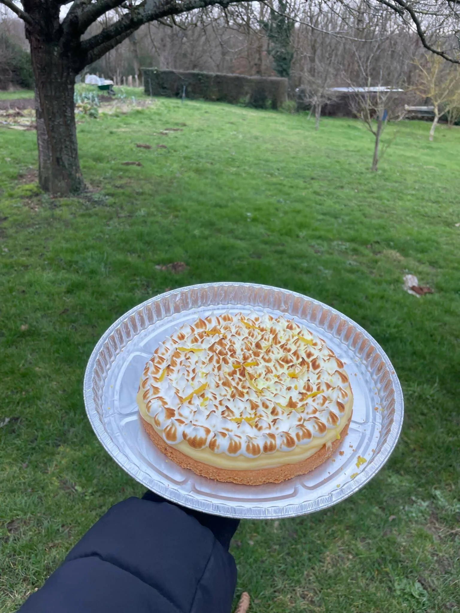 Tarte citron meringuée