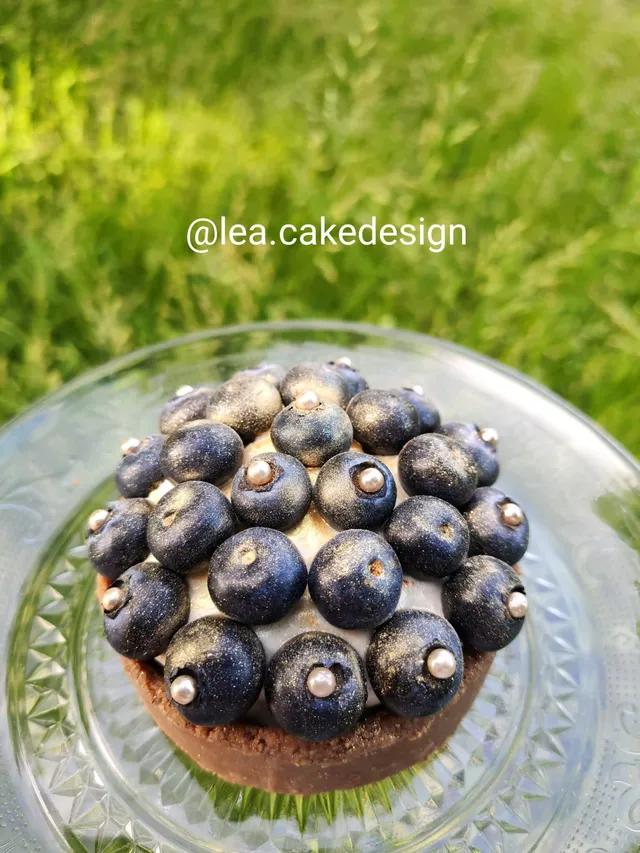 Tartelettes healthy sans cuisson granola myrtille