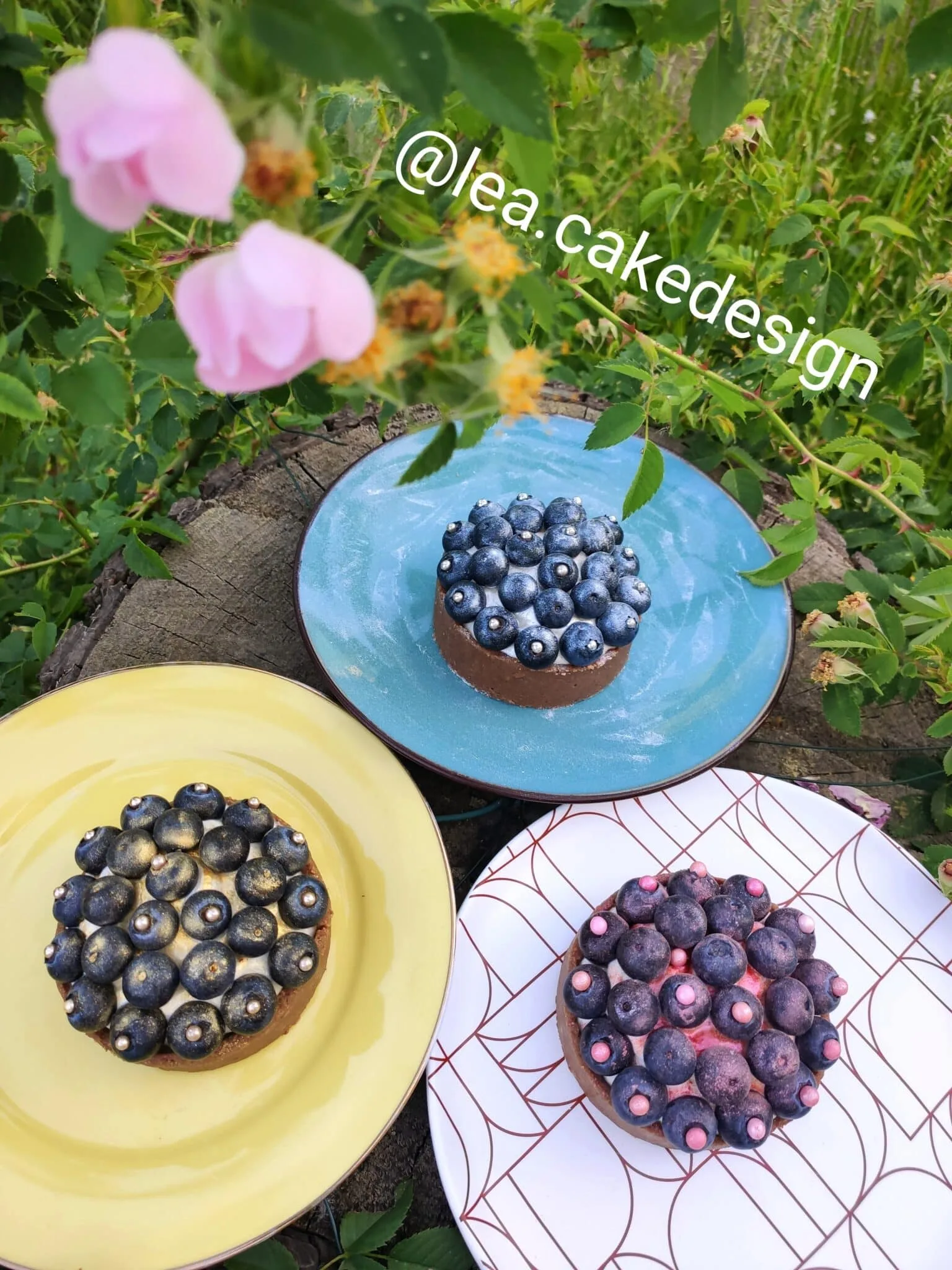Tartelettes healthy sans cuisson granola myrtille