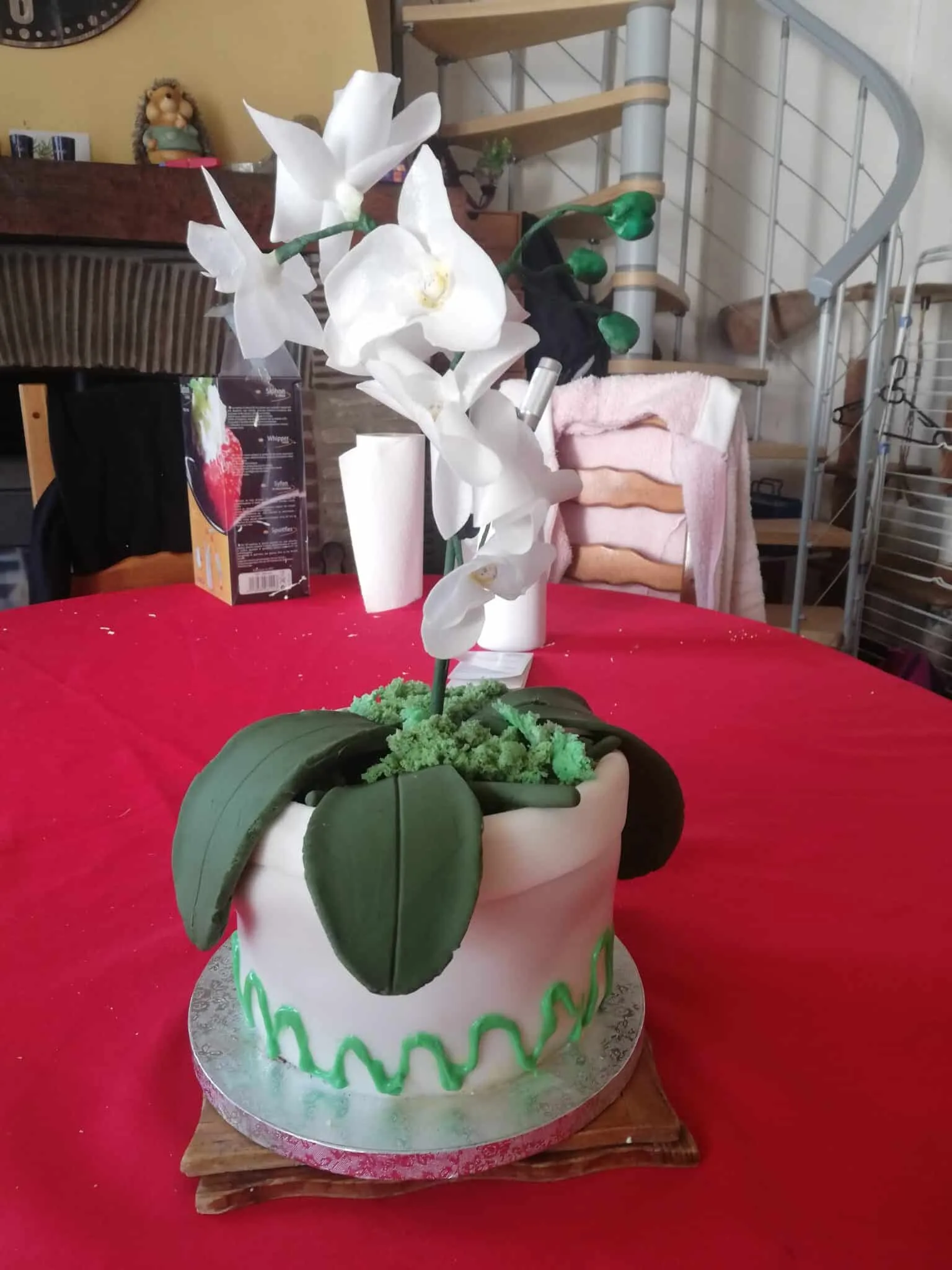 Orchidee