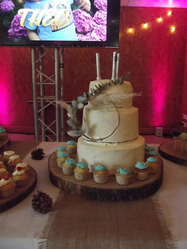Mini cupcakes + cakepops + cake design