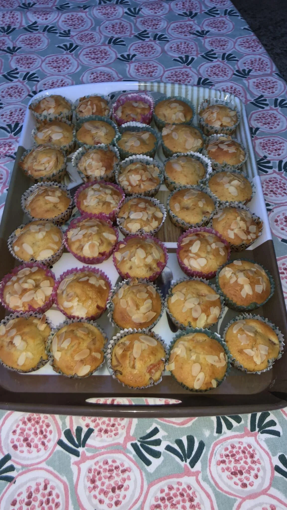 Muffins aux abricots