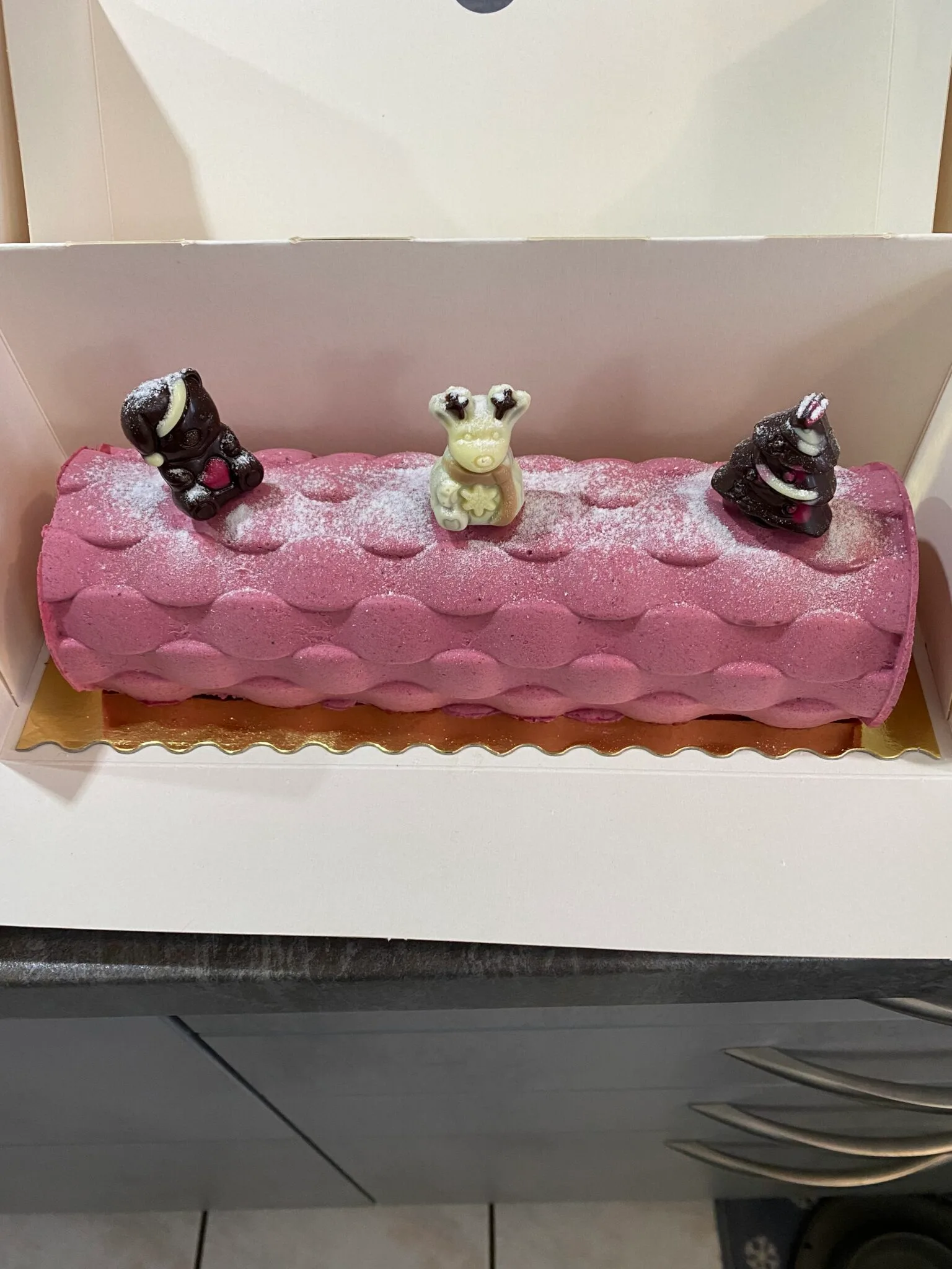 Bûche fruits rouges et insert passion