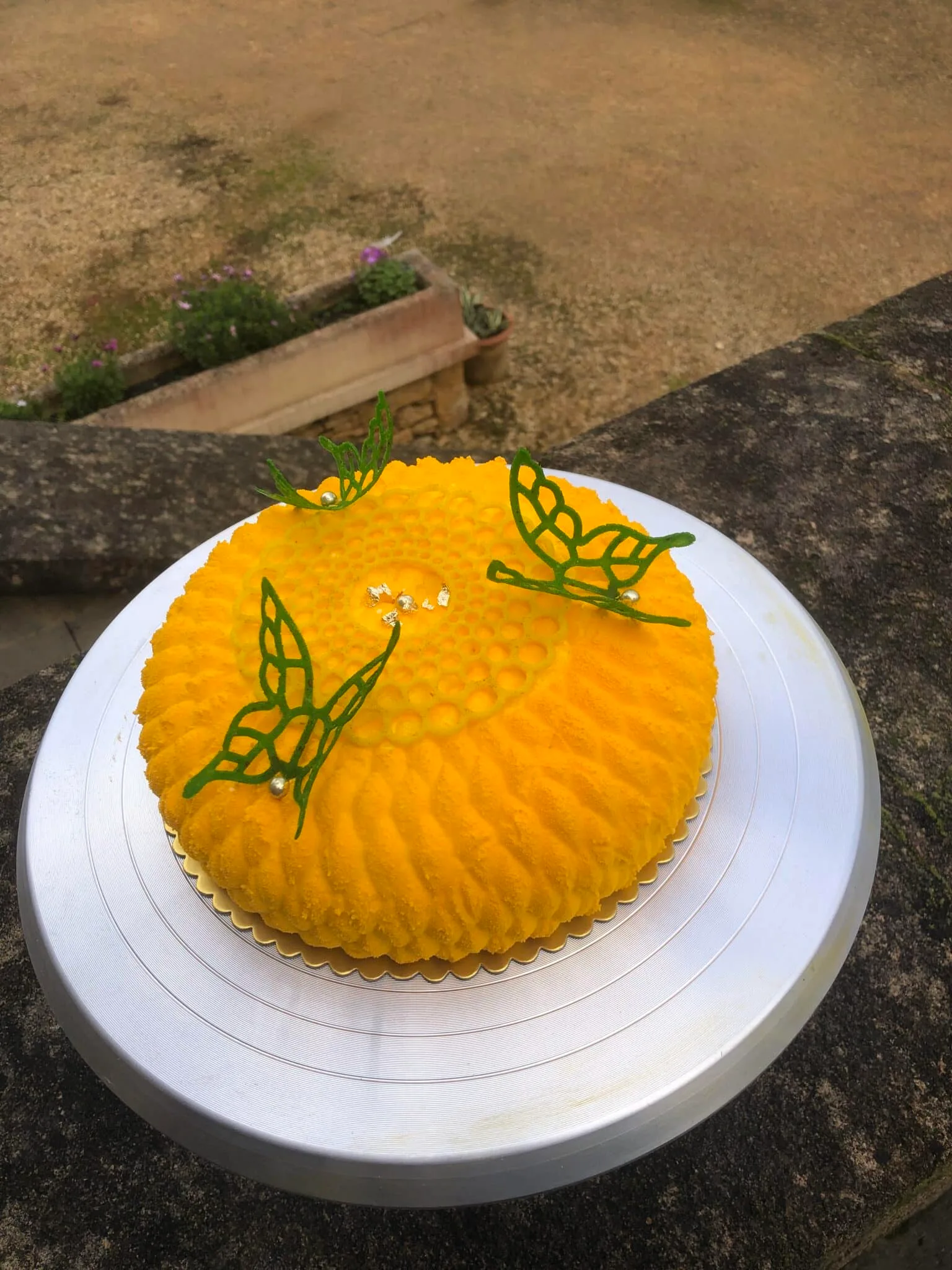 Entremet mousse au citron insert fraises