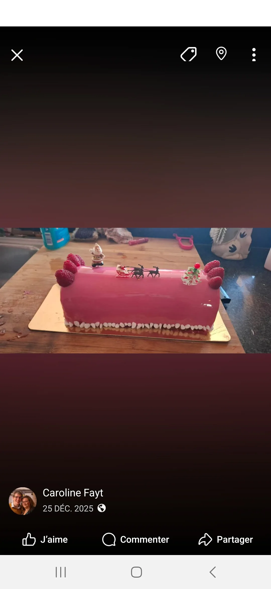 Bûche de Noël
