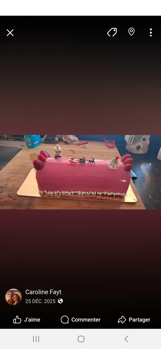 Bûche de Noël