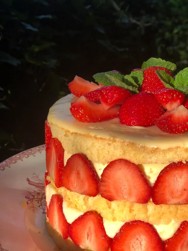 Mon fraisier