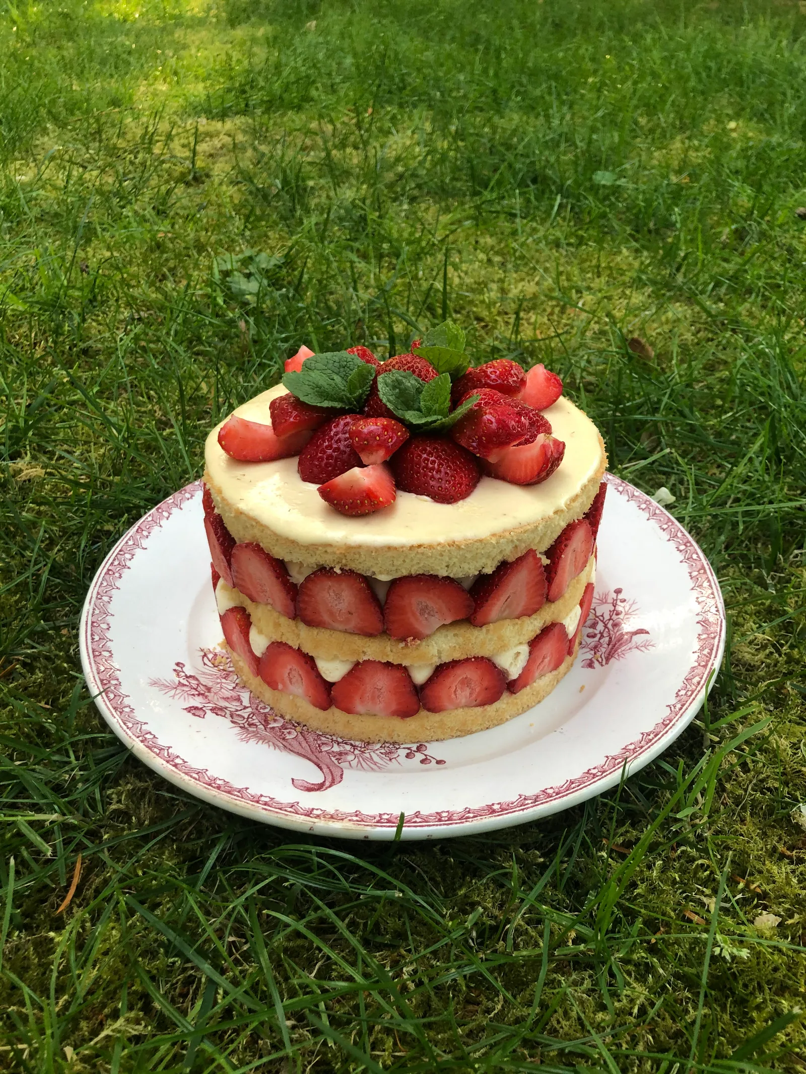 Mon fraisier