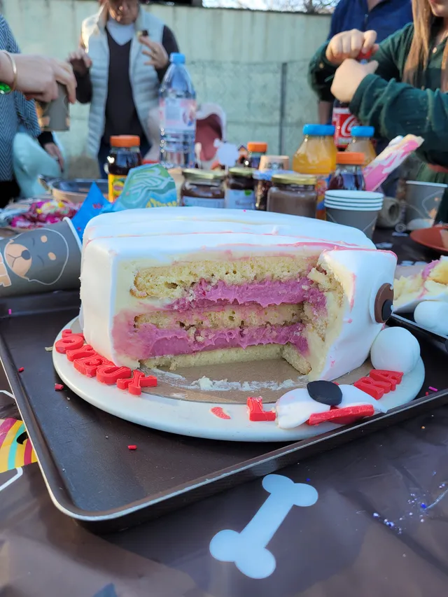 Layer cake framboise chocolat blanc