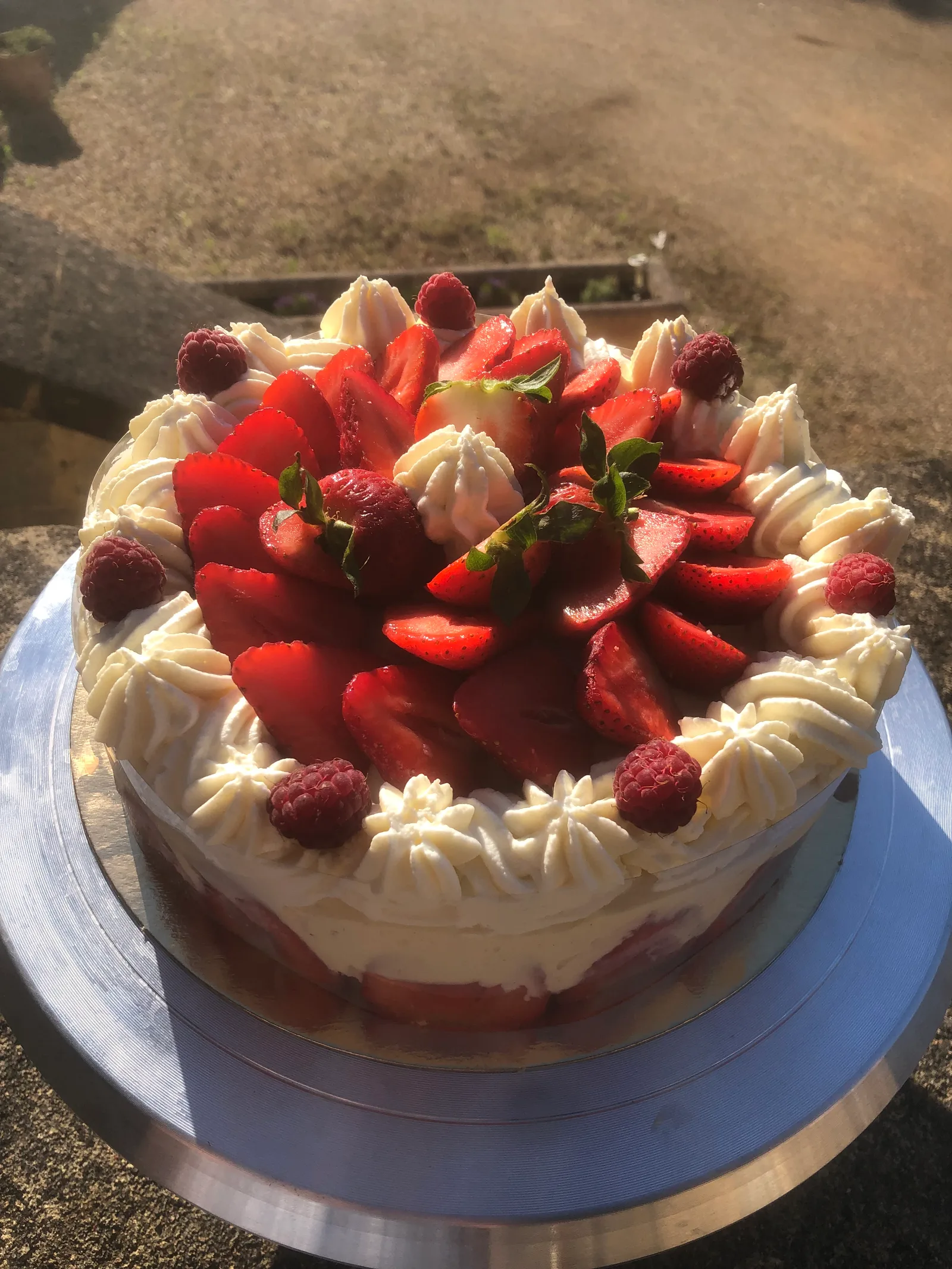 Fraisier
