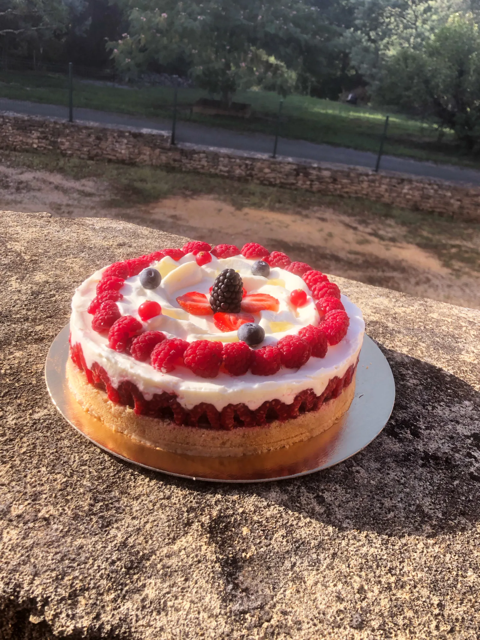 Cheesecake citron 🍋 framboises