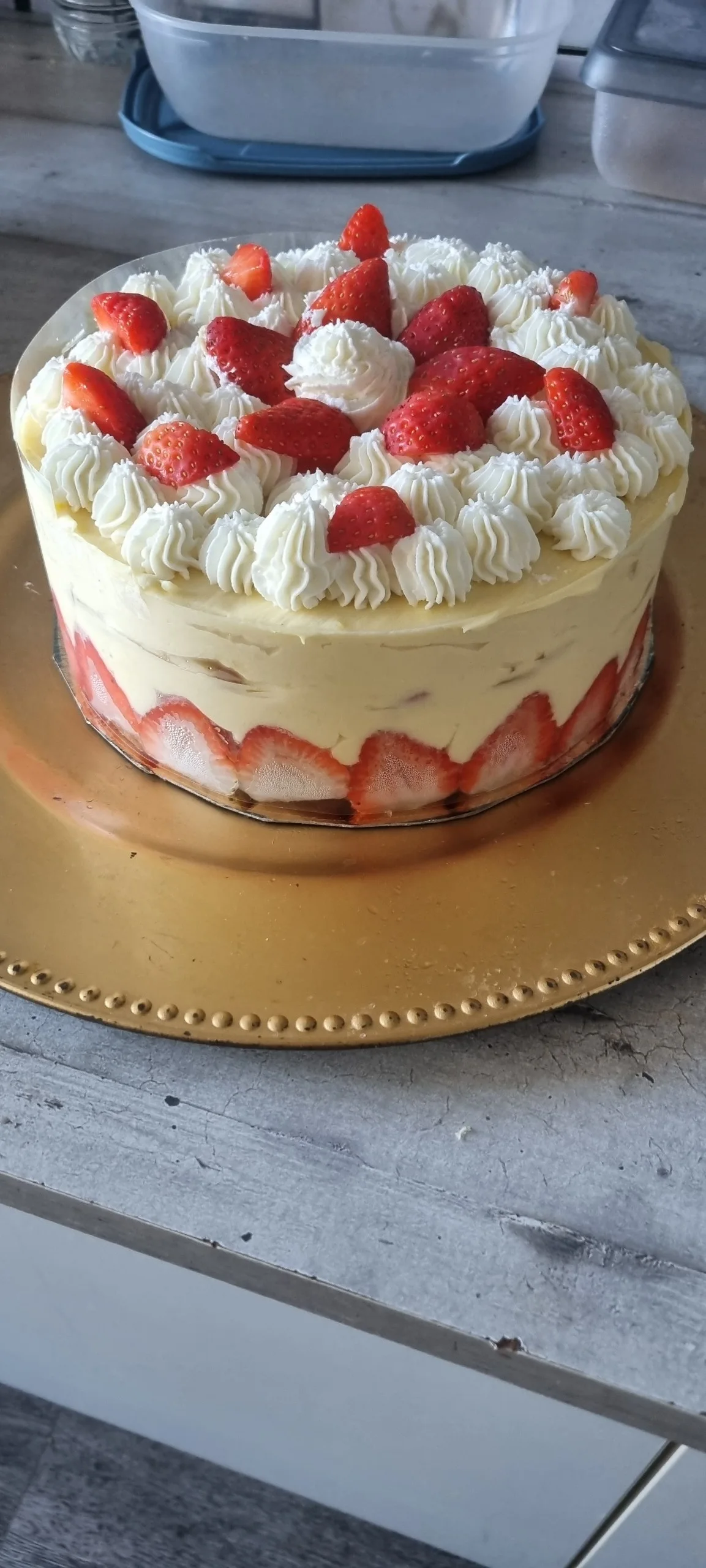 Mon 1er fraisier