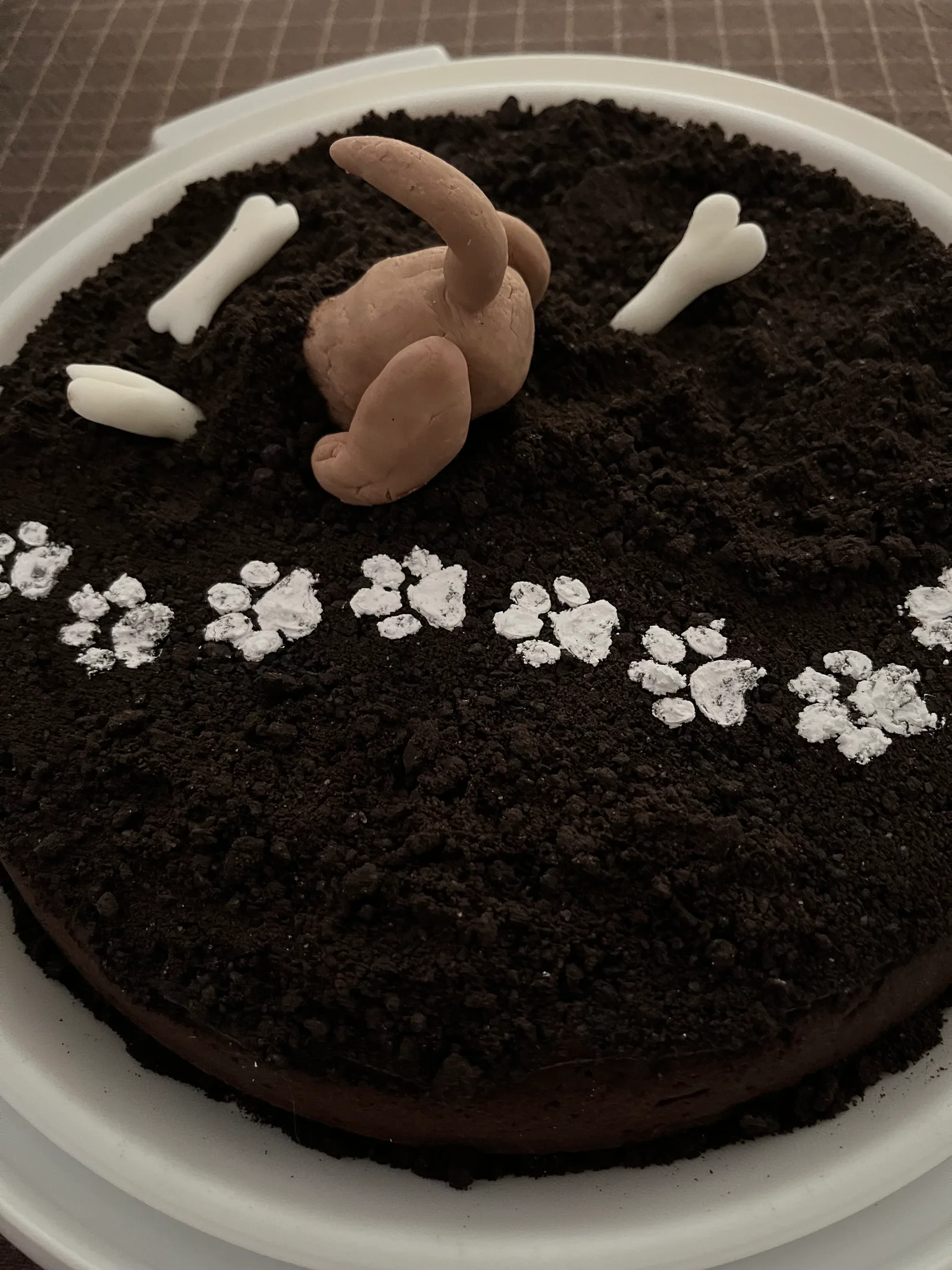 Mon brownie